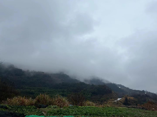湖北屠宰類污水處理項(xiàng)目現(xiàn)場(chǎng)勘查
